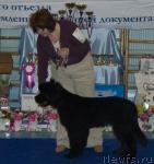 Превью фото № 19335