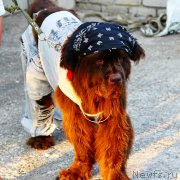 Превью фото № 193355