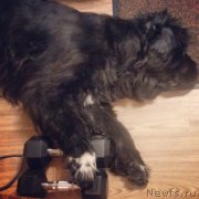 Превью фото № 193369