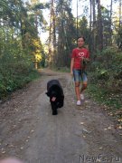 Превью фото № 193376