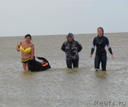 Превью фото № 193547