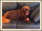 Превью фото № 193654