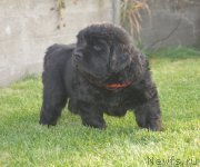 Превью фото № 193672