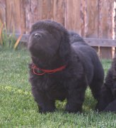 Превью фото № 193673