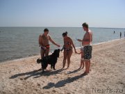 Превью фото № 193767