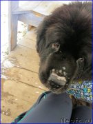 Превью фото № 193820