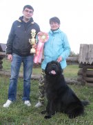 Превью фото № 193824