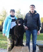 Превью фото № 193826