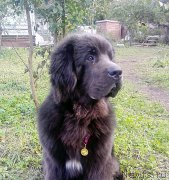 Превью фото № 193833