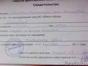 Превью фото № 193834