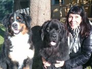 Превью фото № 193836