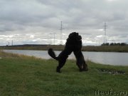 Превью фото № 193960