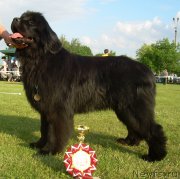 Превью фото № 193994