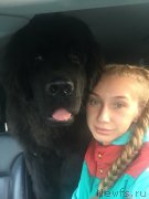 Превью фото № 194048