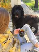 Превью фото № 194049