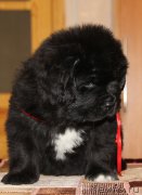 Превью фото № 194066