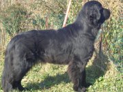 Превью фото № 194101