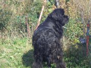 Превью фото № 194105