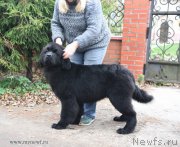 Превью фото № 194108