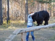 Превью фото № 194115