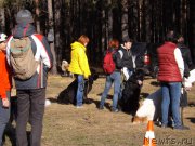 Превью фото № 194134