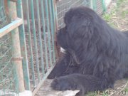 Превью фото № 194152