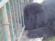 Превью фото № 194153