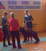 Превью фото № 194292