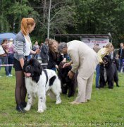 Превью фото № 194337
