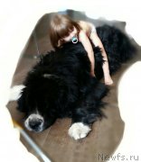 Превью фото № 194348