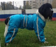 Превью фото № 194386