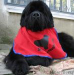 Превью фото № 19441