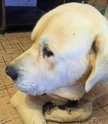 Превью фото № 194427