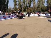 Превью фото № 194449