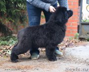 Превью фото № 194503