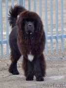 Превью фото № 194532