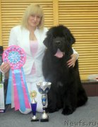 Превью фото № 194596