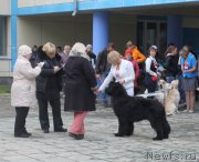 Превью фото № 194598