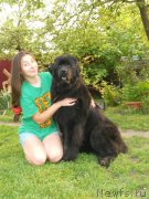 Превью фото № 194609