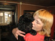 Превью фото № 194613