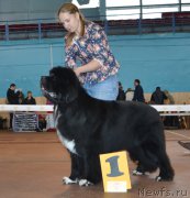 Превью фото № 194655