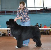 Превью фото № 194656