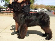 Превью фото № 194672