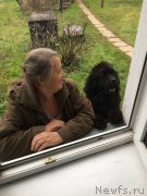 Превью фото № 194673