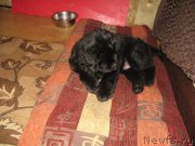 Превью фото № 194676