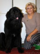 Превью фото № 194678