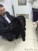 Превью фото № 194725