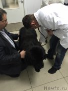 Превью фото № 194727