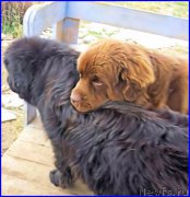 Превью фото № 194728