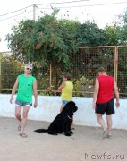 Превью фото № 194770